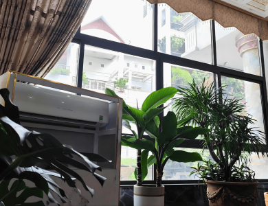 Sảnh 7