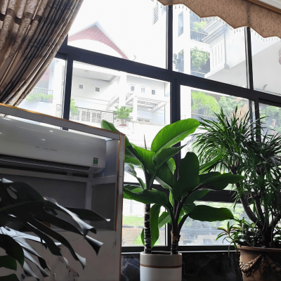 Sảnh 7